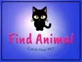Gioco Trova l'animale in linea