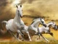 Gioco Scivolata del Cavallo Corrente in linea