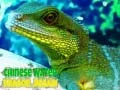 Gioco Puzzle del Drago d'Acqua Cinese in linea