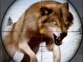 Gioco Caccia agli Animali Selvatici in linea