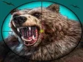 Gioco Caccia all'orso selvatico in linea