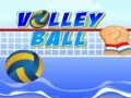 Gioco Pallavolo in linea