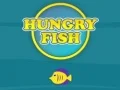 Gioco Pesce Affamato in linea