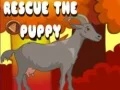 Gioco Salva il cucciolo in linea
