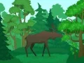 Gioco Colora gli Animali Selvatici in linea