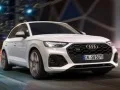 Gioco Audi SQ5 TDI Scivolata in linea
