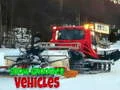 Gioco Veicoli per la Preparazione della Neve in linea