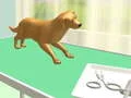 Gioco Cura delle Zampe in linea