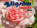 Gioco Maestro dei Puzzle Pro in linea