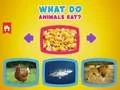Gioco Cosa mangiano gli animali? in linea