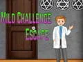 Gioco Fuga dalla Sfida Leggera Amgel in linea