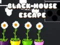 Gioco Fuga dalla Casa Nera in linea