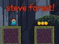 Gioco Foresta di Steve in linea