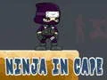 Gioco Ninja in Cappotto in linea