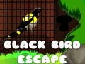 Gioco Fuga dell'Uccello Nero in linea