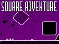 Gioco Avventura Quadrata in linea
