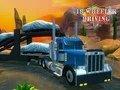 Gioco Simulatore di guida del camion 18 ruote in linea