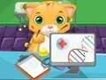 Gioco Dottore Gatto in linea