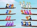 Gioco Puzzle di Sorteggio degli Uccelli in linea Gioco Puzzle di Sorteggio degli Uccelli in linea