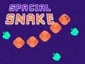 Gioco Serpente Spaziale in linea