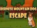 Gioco Fuga del cane da montagna bernese in linea