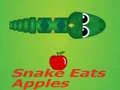 Gioco Il serpente mangia la mela in linea