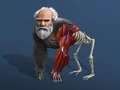 Gioco Evoluzione Inattiva: Da Cellula a Umano in linea Gioco Evoluzione Inattiva: Da Cellula a Umano in linea