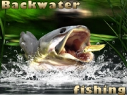 Gioco Pesca in acque stagnanti in linea