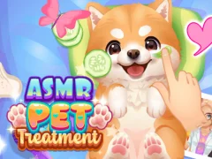 Gioco Trattamento ASMR per animali domestici in linea