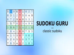 Gioco Guru Sudoku in linea