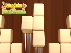 Gioco Woodoku Block Puzzle in linea