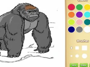 Gioco Libro da colorare di zoo animali per bambini in linea