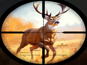 Gioco Scontro di caccia selvaggio in linea