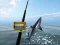 Gioco Pesca nel Mare Azzurro in linea