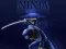 Gioco Ninja Dash in linea