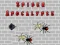 Gioco Apocalisse dei Ragni in linea