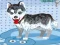 Gioco Il mio cane carino che fa il bagno in linea