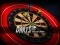 Gioco Darts Pro Multiplayer in linea