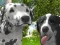 Gioco Simulatore di Cani 3D in linea