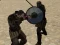 Gioco Simulator di gladiatori in linea