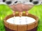 Gioco Mungere la mucca in linea