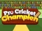Gioco Campione di Cricket Pro in linea