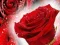 Gioco Rose rosse in linea