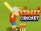 Gioco Cricket di Strada in linea