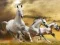 Gioco Scivolata del Cavallo Corrente in linea