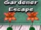 Gioco Fuga del Giardiniere in linea