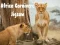 Gioco Puzzle Carnivoro Africa in linea