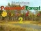 Gioco Foresta della Password Misteriosa Edizione Autunno 2 in linea