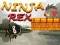 Gioco Ninja Rex in linea