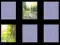 Gioco Memoria della Natura in linea